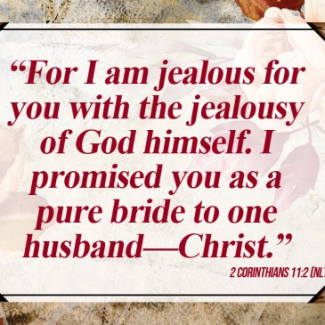 floral background 2Corinthians 11:2 nlt