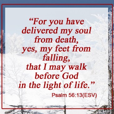 snowy hillside with snow covered trees, psalm 56:13 esv